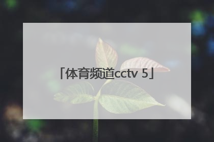 「体育频道cctv 5」体育频道杨迪个人资料