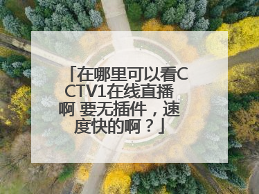在哪里可以看CCTV1在线直播啊 要无插件，速度快的啊？