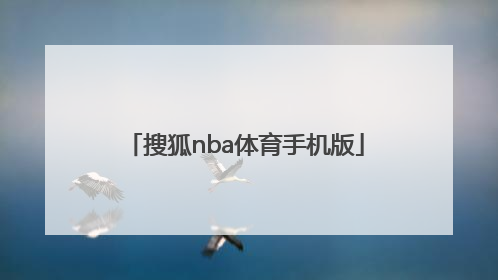 「搜狐nba体育手机版」nba体育频道搜狐