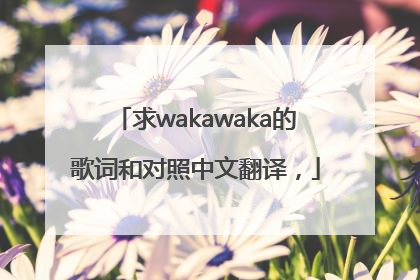 求wakawaka的歌词和对照中文翻译，