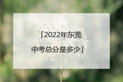 2022年东莞中考总分是多少