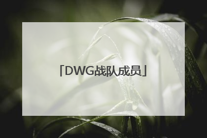 「DWG战队成员」s11dwg战队成员