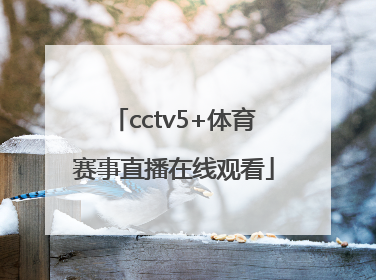 「cctv5+体育赛事直播在线观看」cctv5十体育赛事直播女排比赛