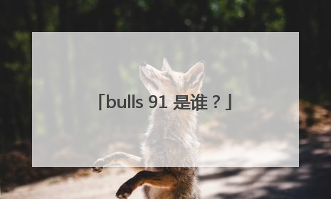 bulls 91 是谁？