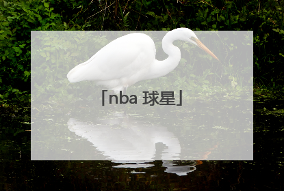 「nba 球星」nba球星标志logo