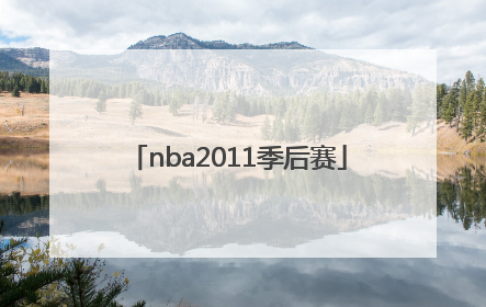 「nba2011季后赛」nba2011季后赛小牛vs热火