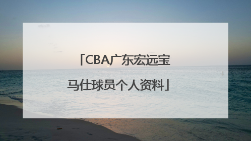 CBA广东宏远宝马仕球员个人资料