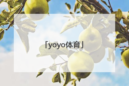 「yoyo体育」yoyo体育网页版